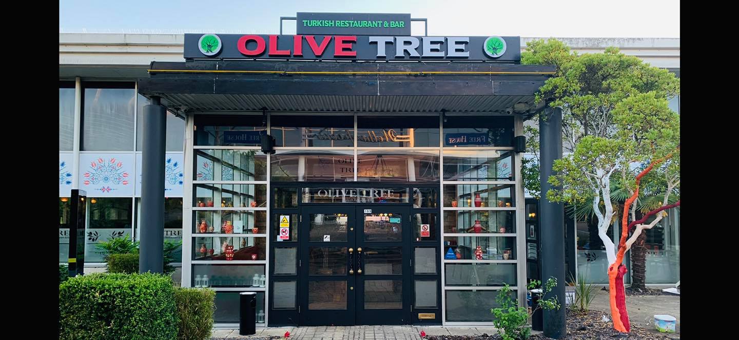 Olive Tree