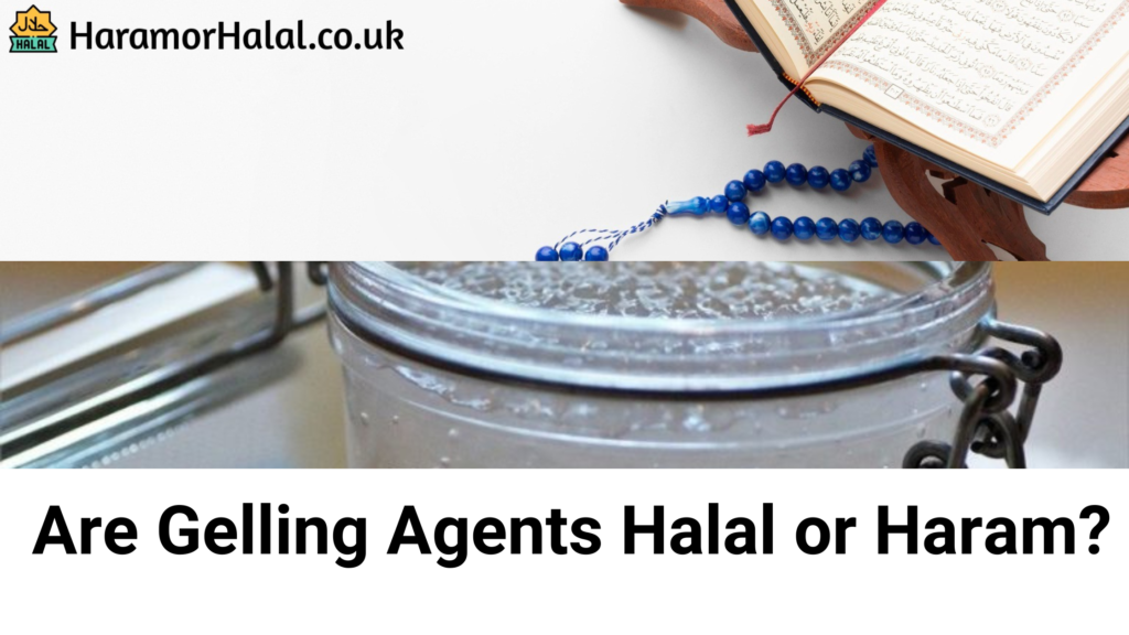 Are Gelling Agents Halal or Haram