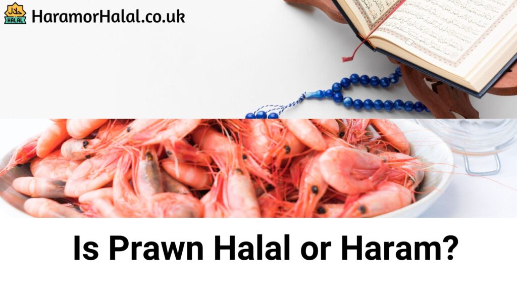 Is Prawn Halal or Haram