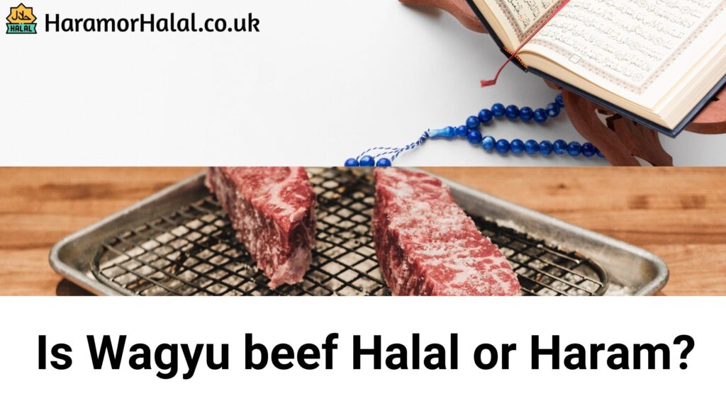 Is Wagyu beef Halal or Haram?