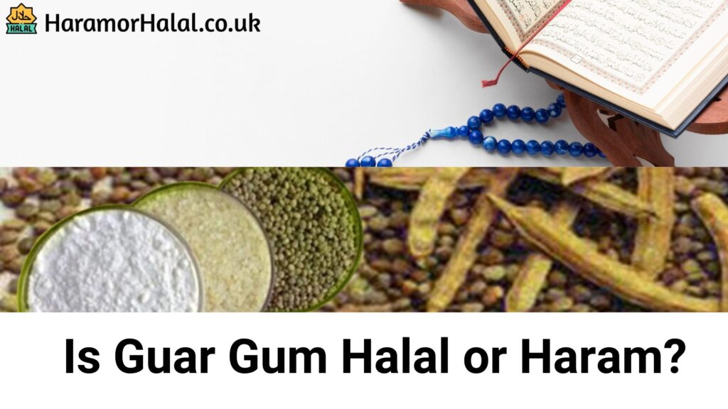 Is Guar Gum Halal or Haram?