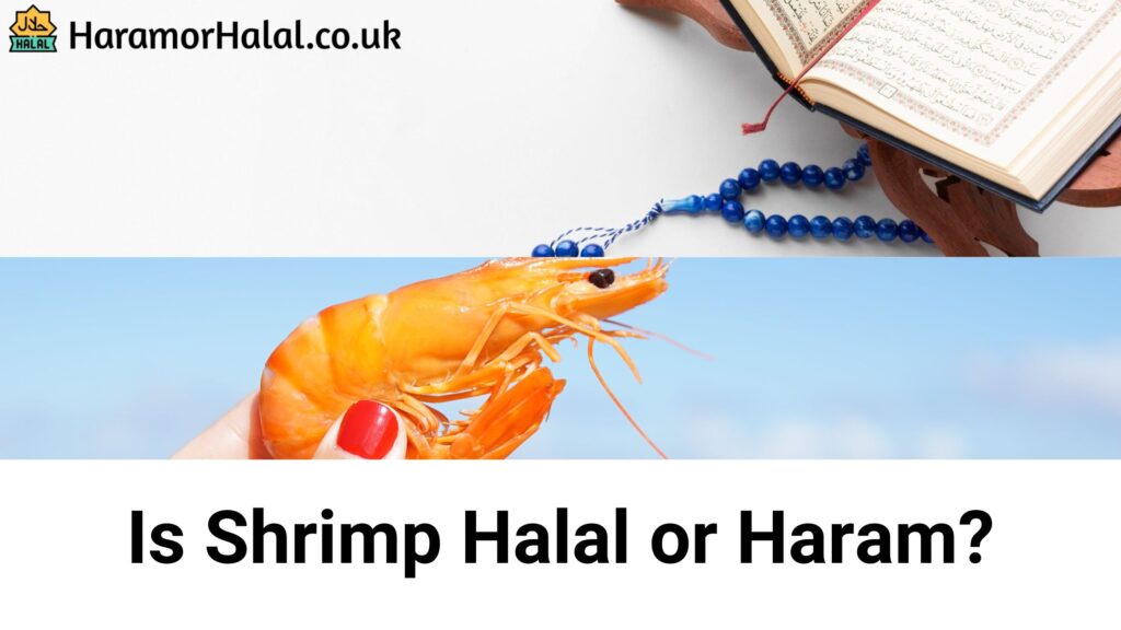 Is Shrimp Halal or Haram?