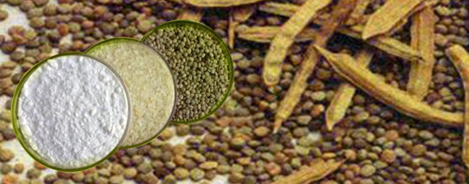 guar gum haram or halal