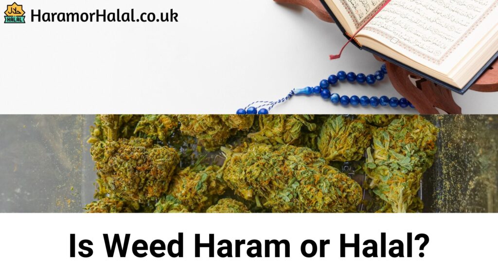 Is Weed Haram or Halal?
